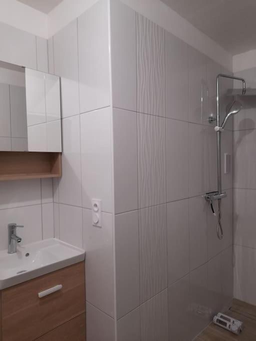 Logement Lumineux Avec Terrasse 永河畔拉罗什 外观 照片